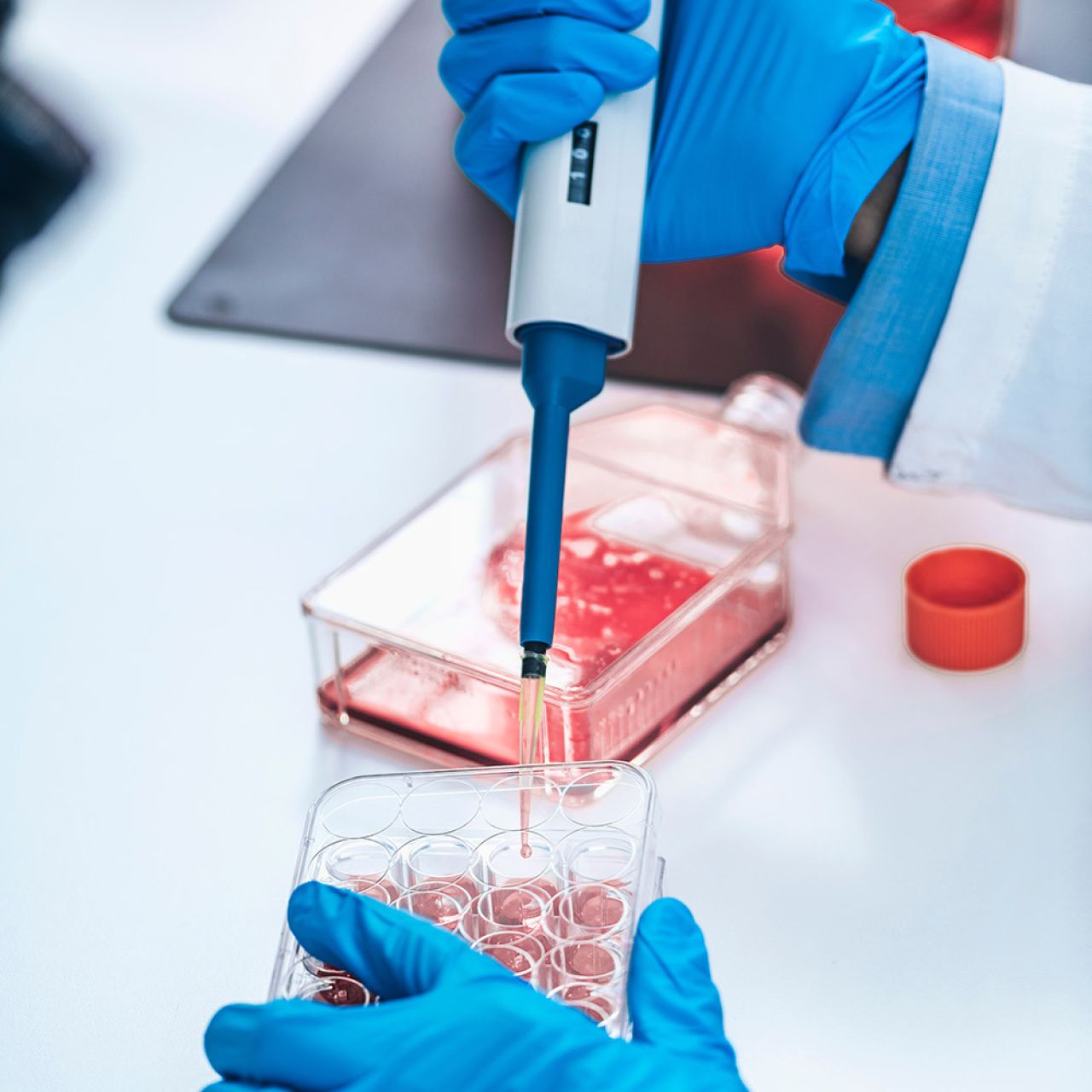 gloved hand of lab worker and pipette of red liquid